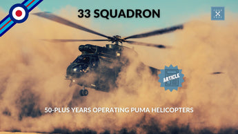 33 Squadron Article