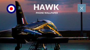 Hawk Sunset Wallpaper