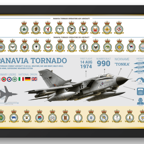 Tornado Framed Infographic Print - Four Prop