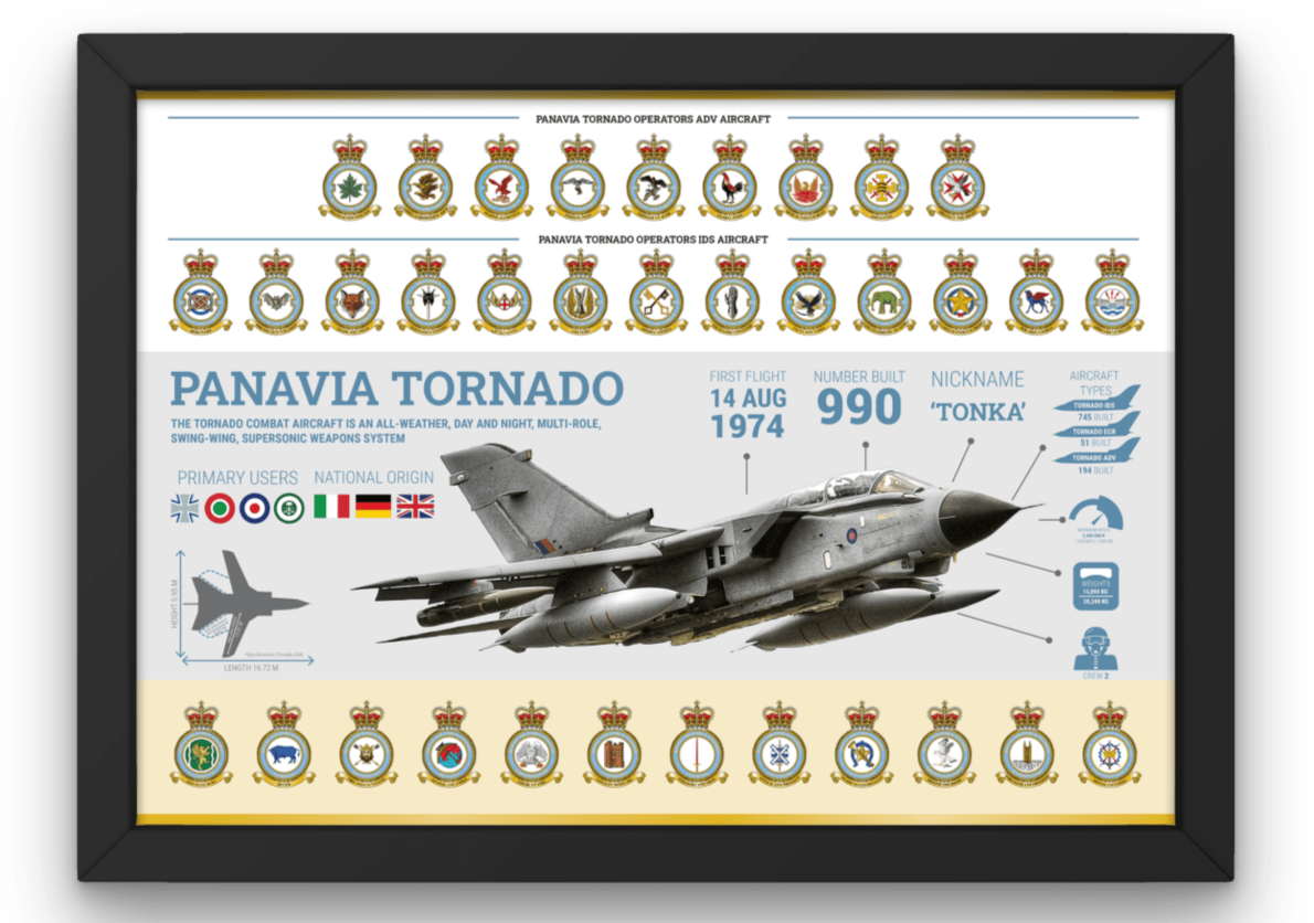 Tornado Framed Infographic Print - Four Prop