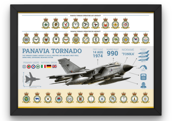Tornado Framed Infographic Print - Four Prop